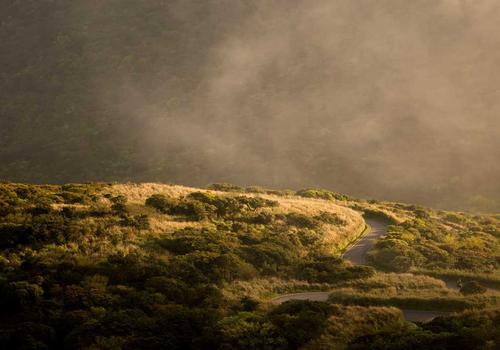 Thủy vân AI Voice