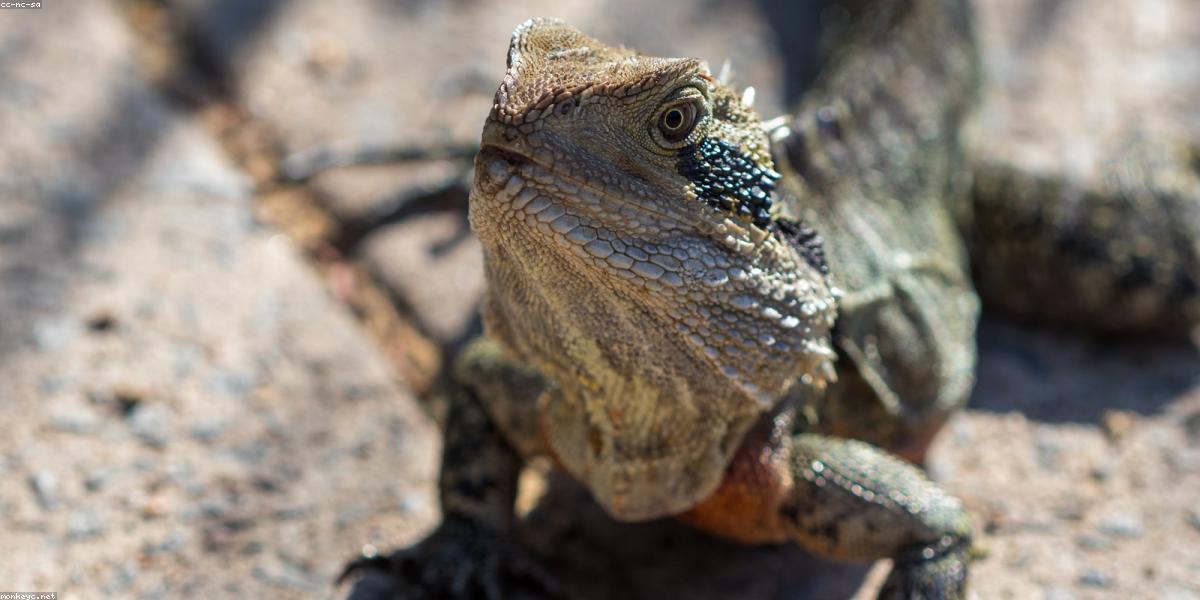 Lê Bảo Ngọc Science Experiment