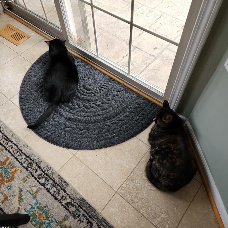 Vali Vải Siêu Nhẹ LW Classic