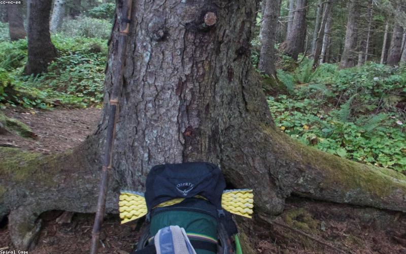 Chi tiết đường may và vải lều cao cấp