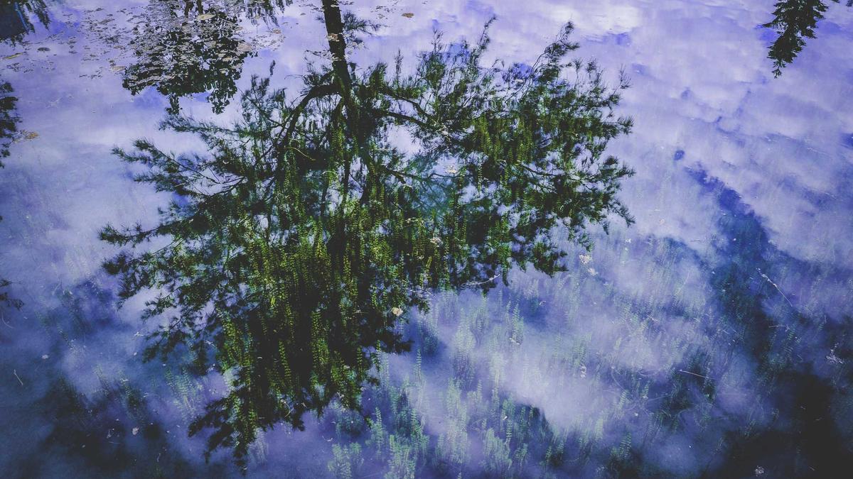 StreamVault Dashboard