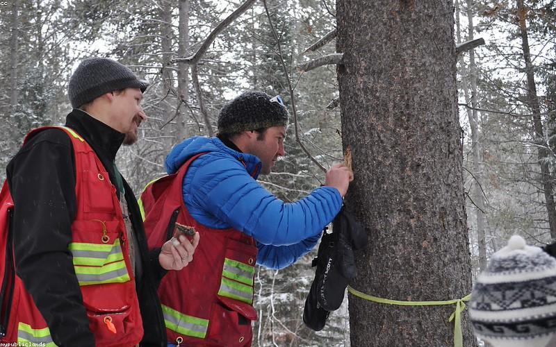 Bảo vệ rừng tự nhiên
