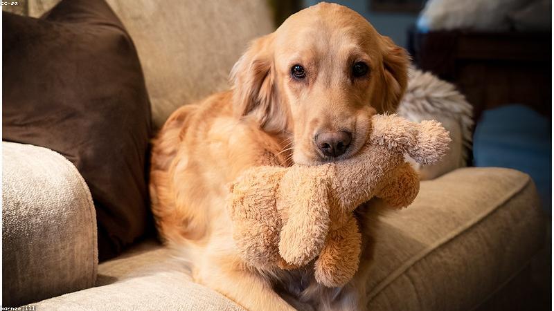 Chọn đồ chơi an toàn cho trẻ em