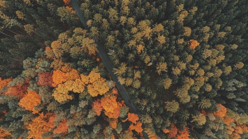 Satellite Security Analysis