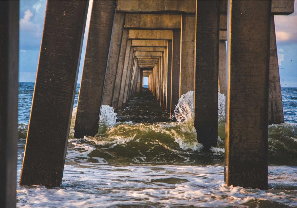 Hệ thống Aquaponics Lâm Đồng