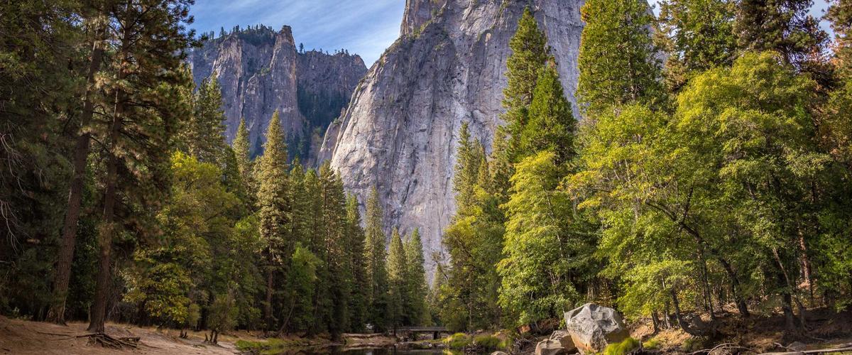 Student Preparing for Abroad 2026