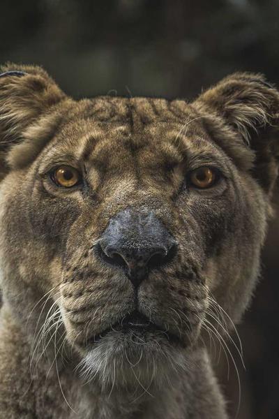 Behind the scene 2026 1