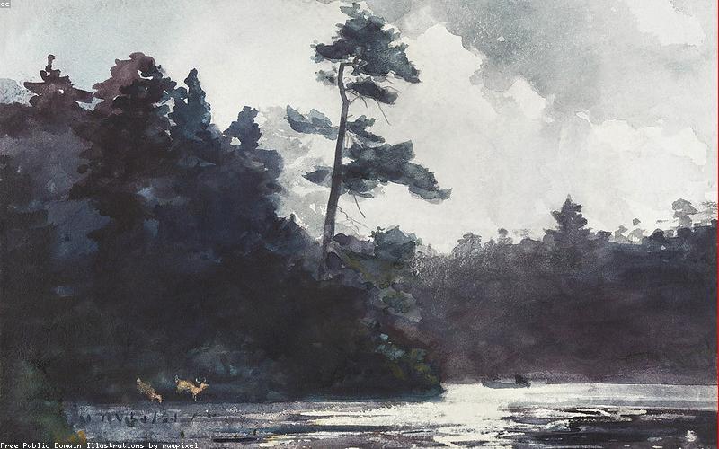 Xu hướng nhiếp ảnh thiên nhiên 2024