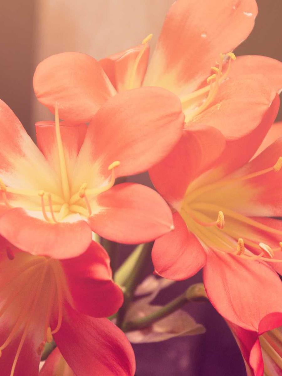 Model walking editorial