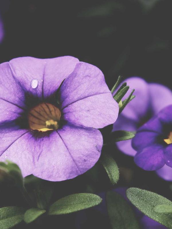 Tác phẩm nội thất 2026 - 1