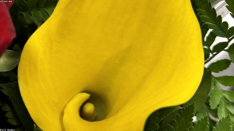 Gia đình trẻ vui đùa cùng nhau