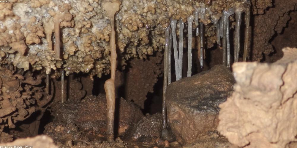 Dãy Hoàng Liên Sơn hùng vĩ