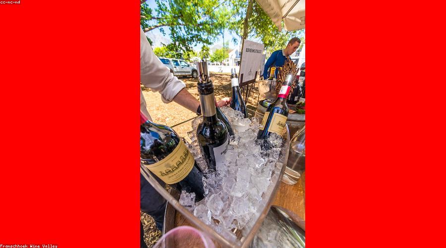 Phục vụ rượu vang chuyên nghiệp