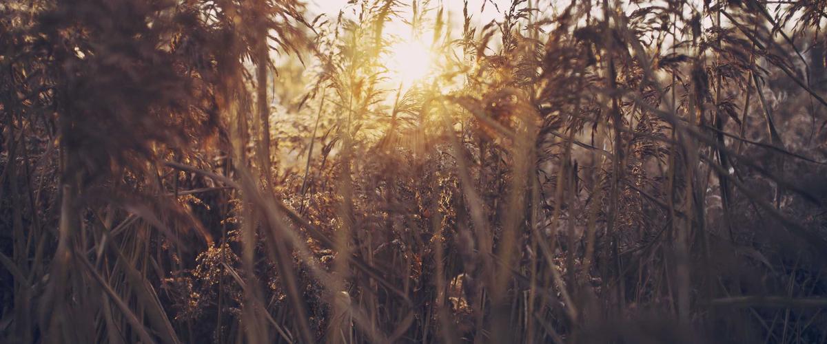 AI matching visualization in CloudLedger