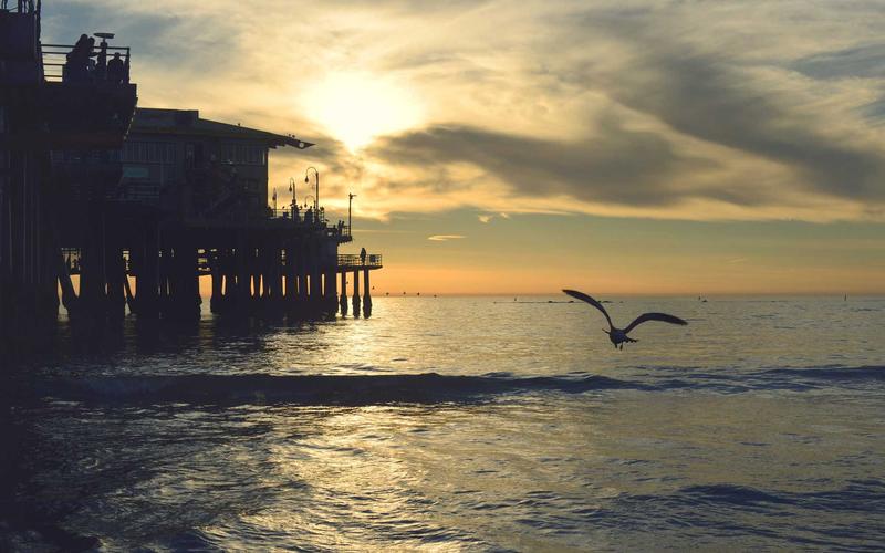 Nature Nails Art 2026