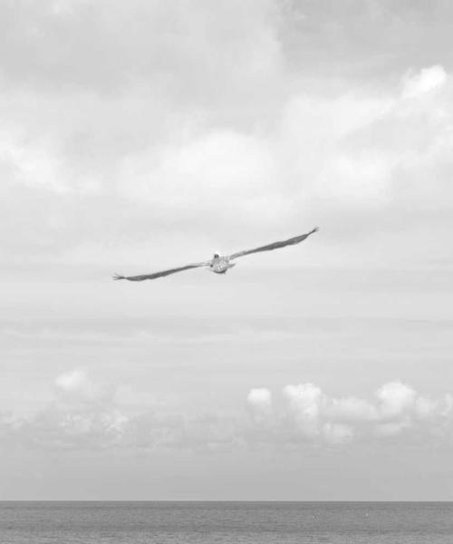 Bia thủ công 2026