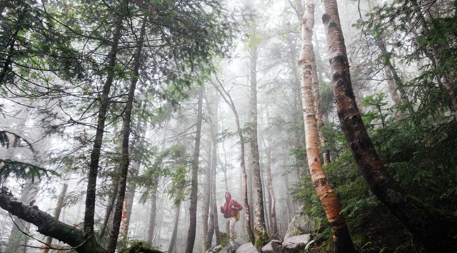 Thị trường AI ASEAN 2026