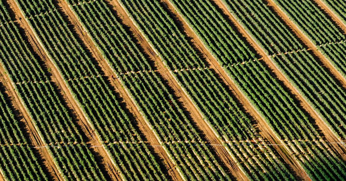 Tại sao Scandinavian là xu hướng Décor bền vững? Góc nhìn từ Interior Stylist Bùi Yến Nhi