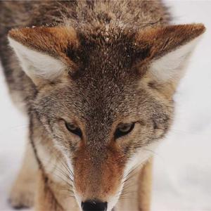 Vietnam Road Trip 2026