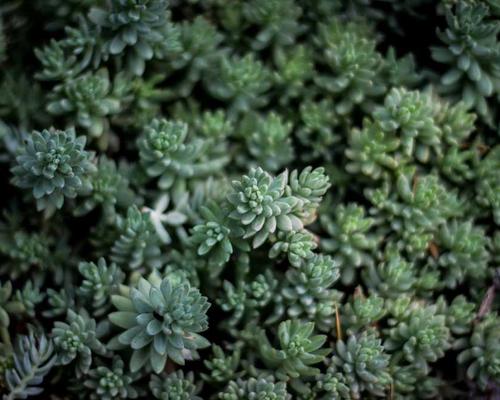 Khu vui chơi an toàn