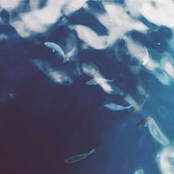 Đá xuyên sáng phong thủy 2026