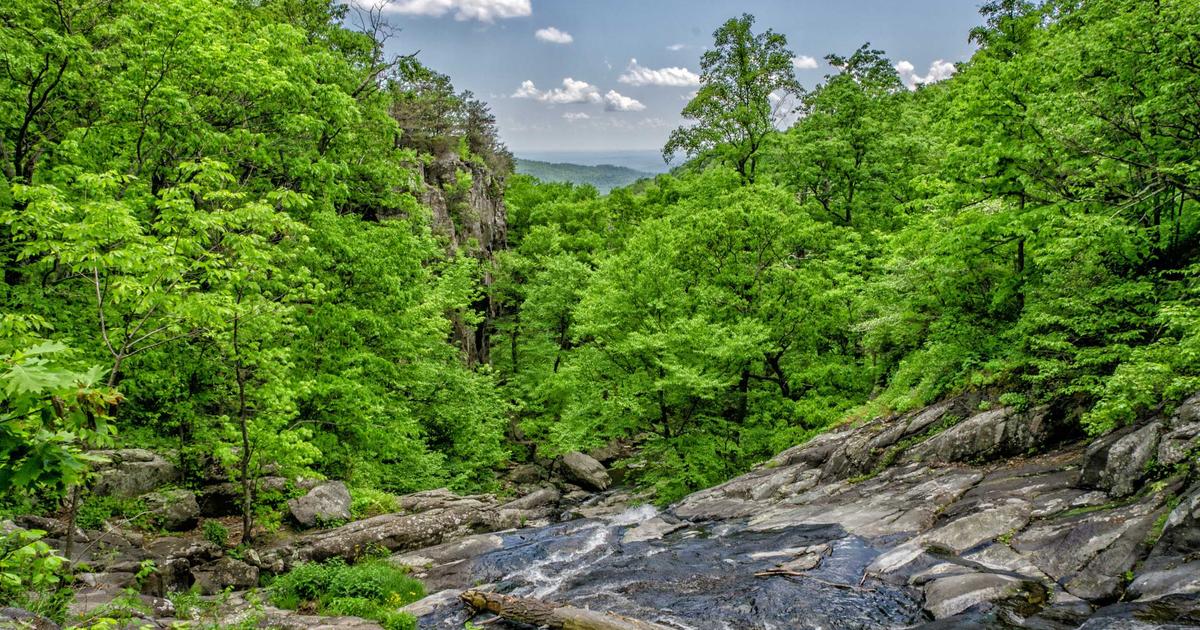 Hướng dẫn cách sử dụng tinh dầu Lotus Herbal hiệu quả để thư giãn và chăm sóc sức khỏe tại nhà