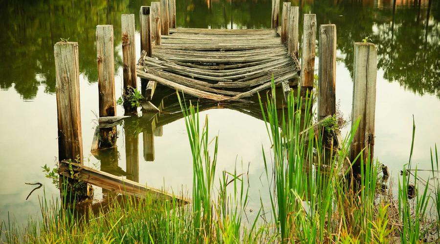 Luxury interior of Apex VIP 2026