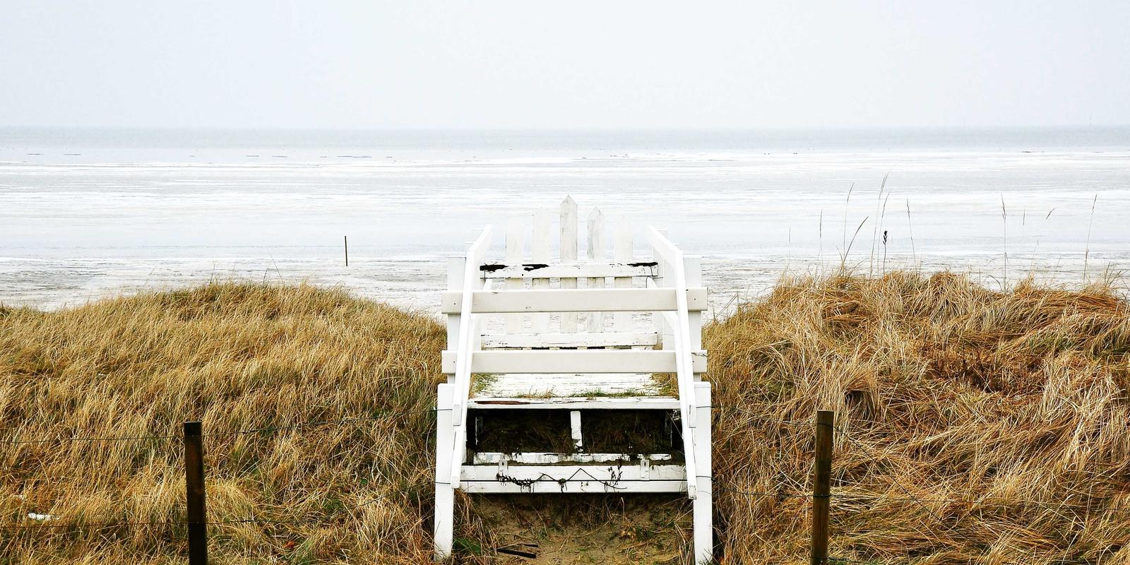 Mars Settlement mockup