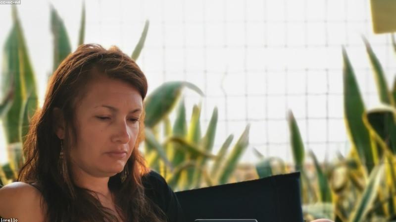 Giải trí trí tuệ và thư giãn