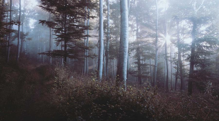 Gemstone Investment Portfolio 2026