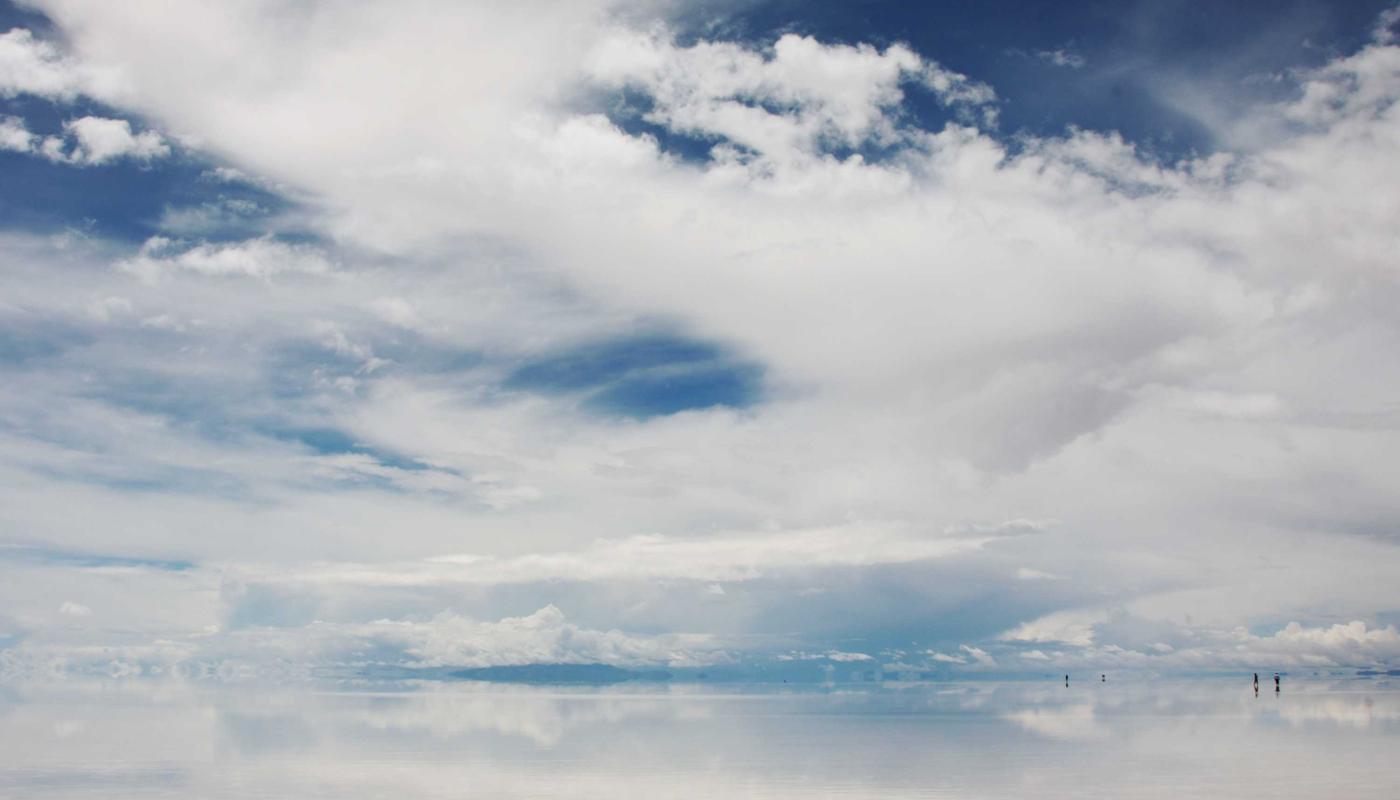 Luxury Pet Check-in 2026