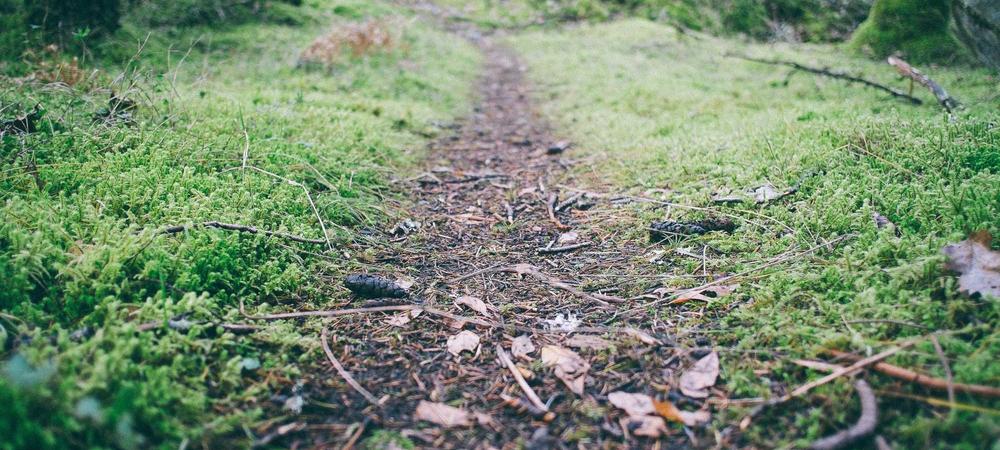 Chiến lược di sản