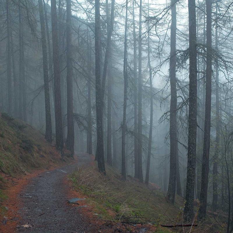 Quần Tây Nam Form Slim-Fit 4