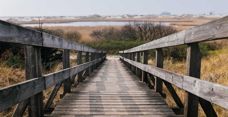 Chăm sóc và bảo quản cốc nguyệt san đúng cách