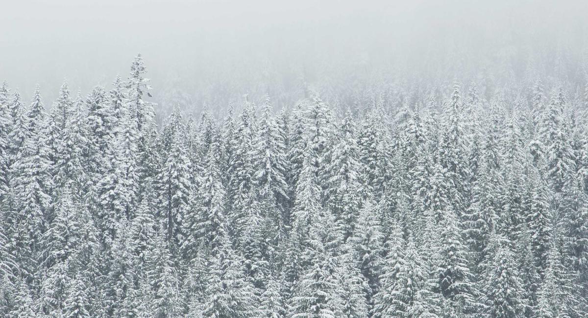 Không gian tiệc cưới cao cấp Regal Wedding