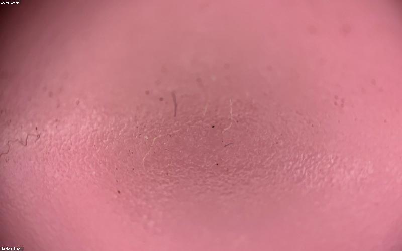 Sử dụng baking soda làm sạch ốp lưng