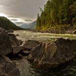 Đặng Phương Linh Portrait