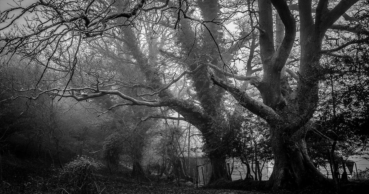 Xu hướng thiết kế website bằng AI năm 2024: Bước đột phá từ BrandGens