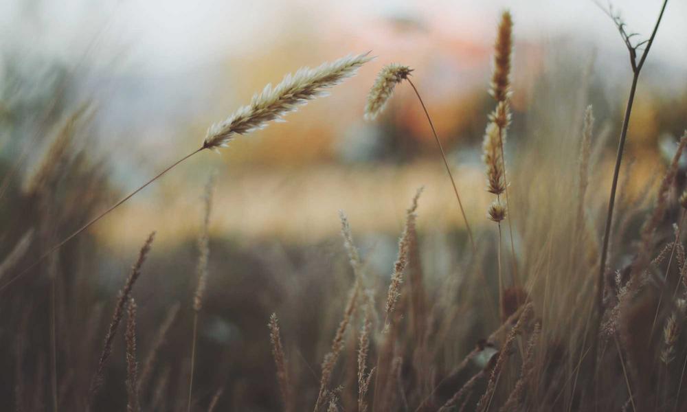 Công nghệ 2026 sang trọng