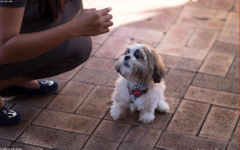 Xu hướng trang trí tiệc sinh nhật 2024