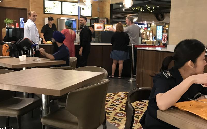 Dịch vụ setup cây cảnh chuyên nghiệp