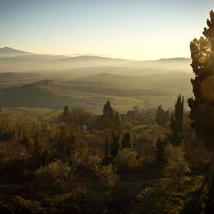 Ngũ cốc dinh dưỡng 2026