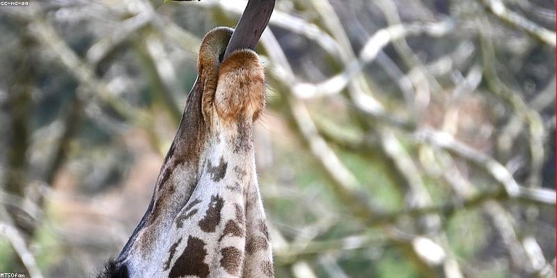 Hướng dẫn bài tập thu cằm