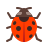 Ladybug