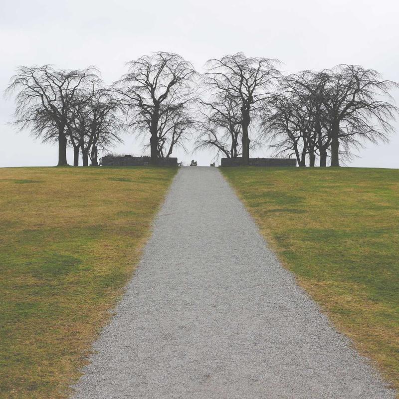 Váy Hoa Nhí Vintage Dáng Dài 4