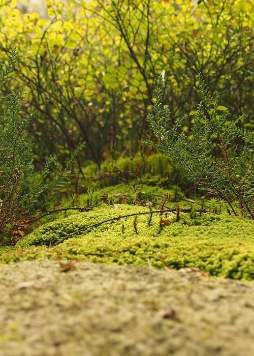 Khách hàng mỉm cười