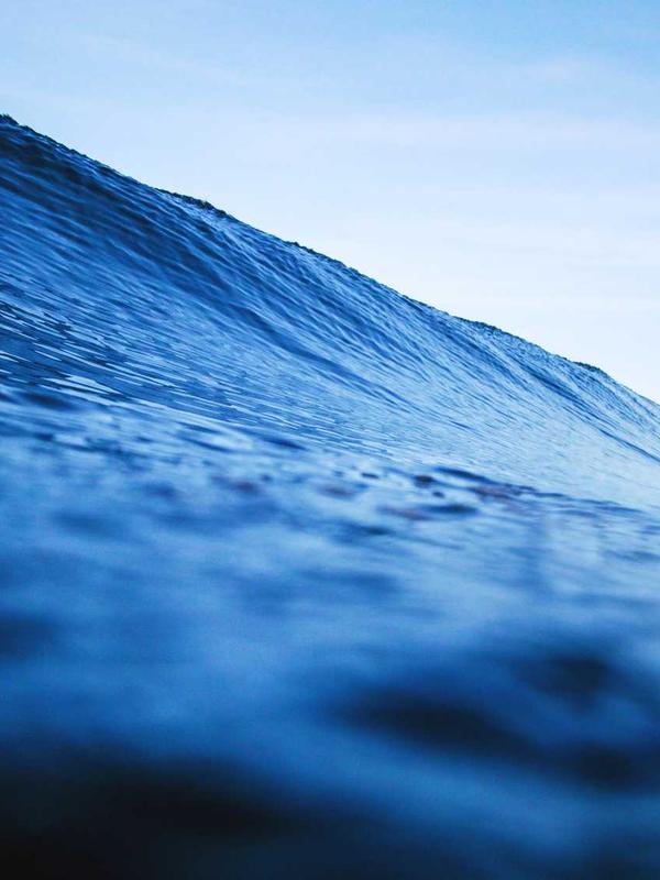 Biểu tượng thông thái 2026