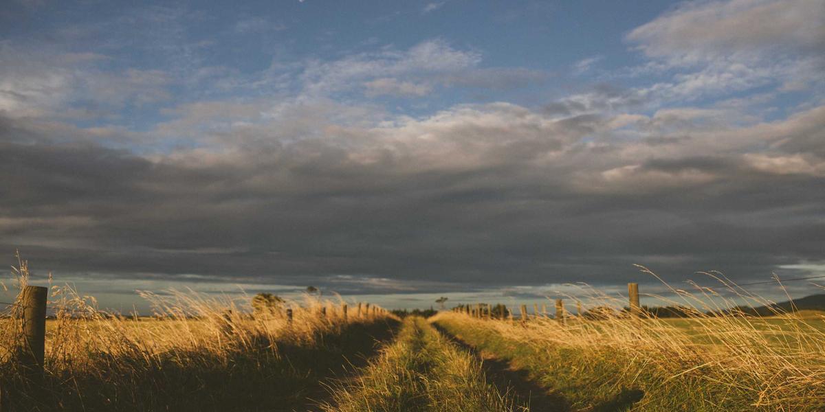 Giường ngủ 2026 Maglev