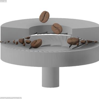 Máy nghiền cà phê