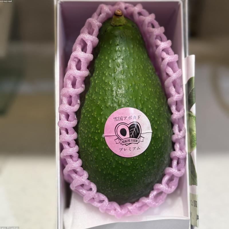 Bộ Quà Tặng Vườn Thảo Mộc